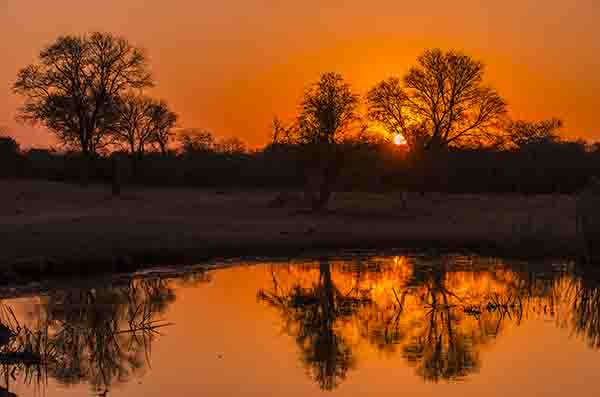 96 - Sudafrica - reserva Sabi Sands - atardecer